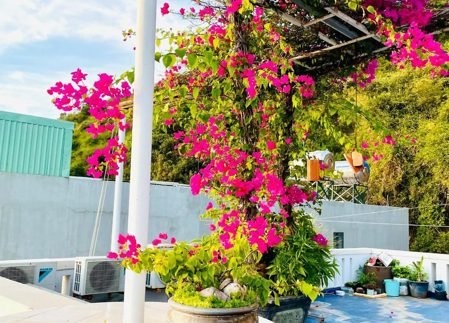 Thien Nguyen Homestay Vung Tau 0*,  Vietnam