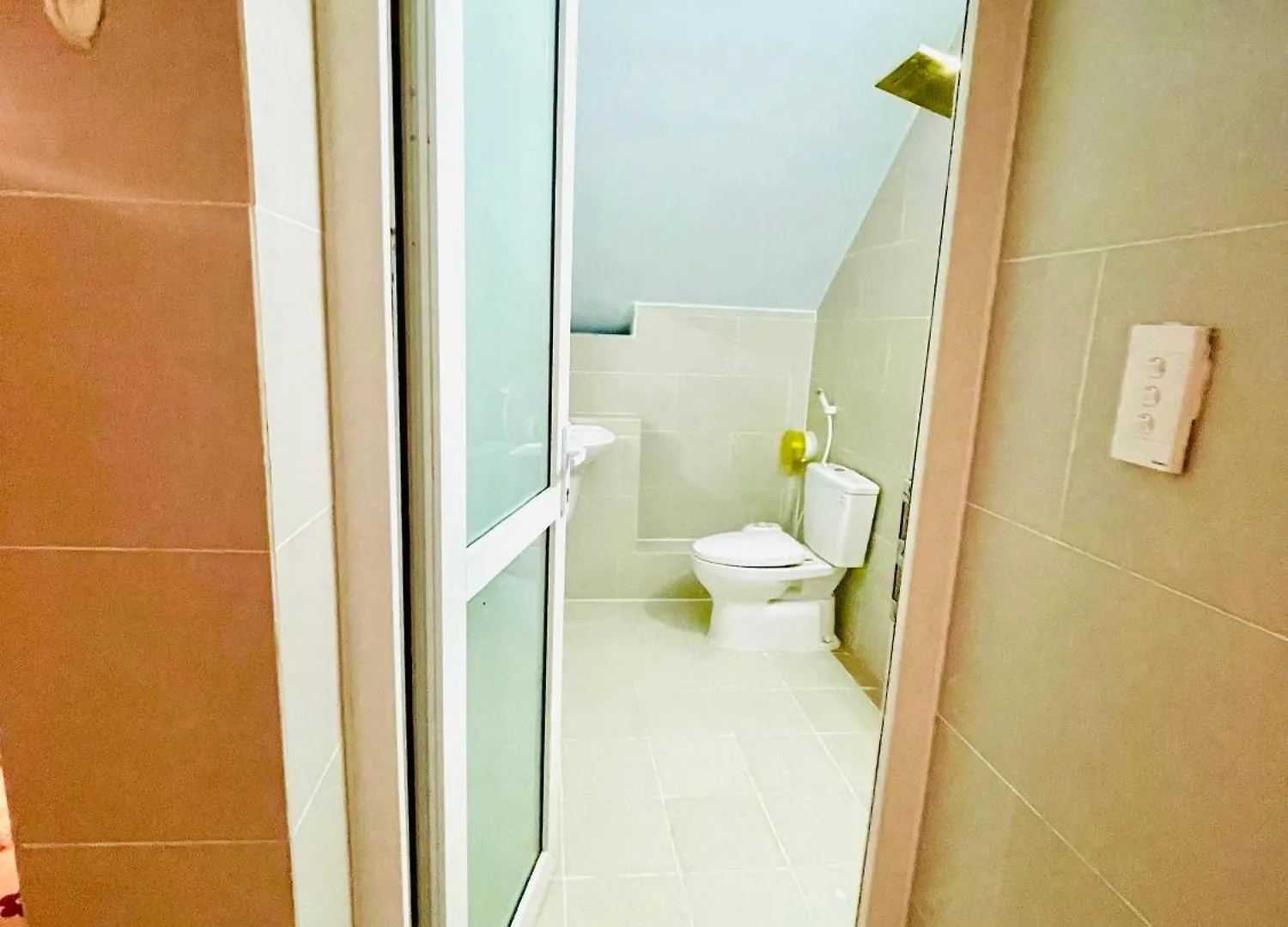Thien Nguyen Homestay Vung Tau Apartment