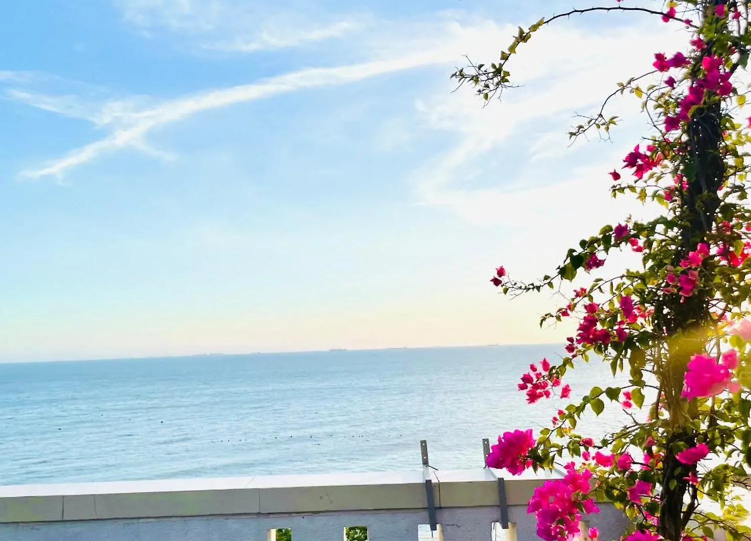 Apartment Thien Nguyen Homestay Vung Tau
