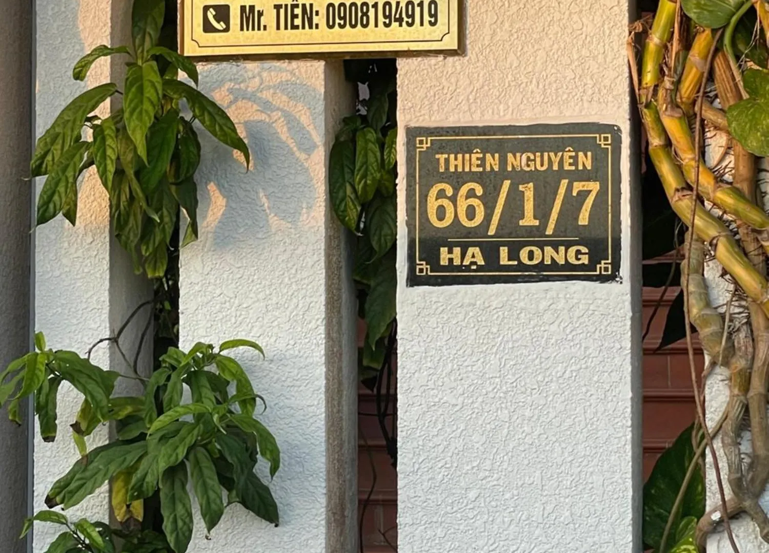 Thien Nguyen Homestay Vung Tau
