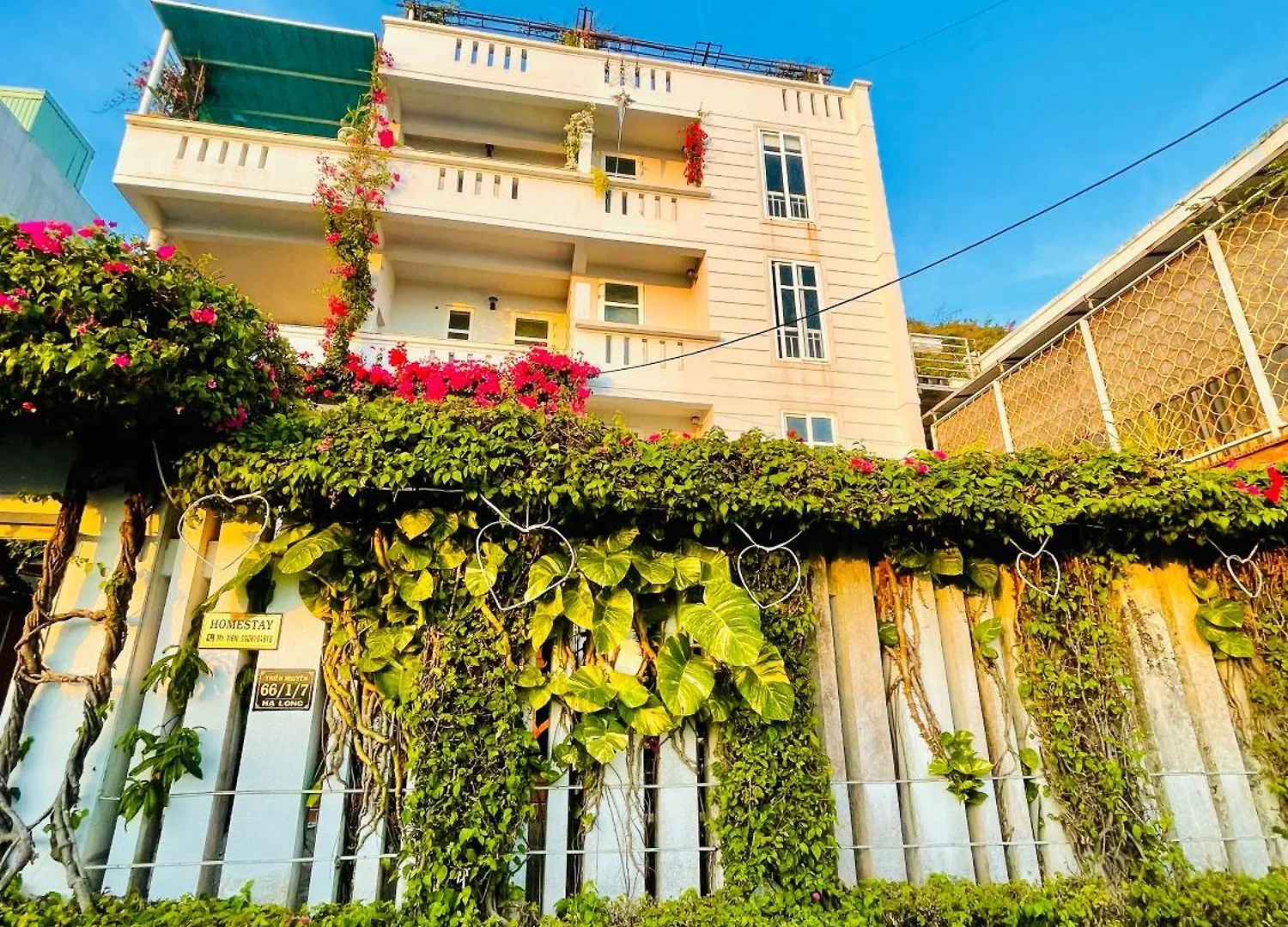 Thien Nguyen Homestay Vung Tau Apartment