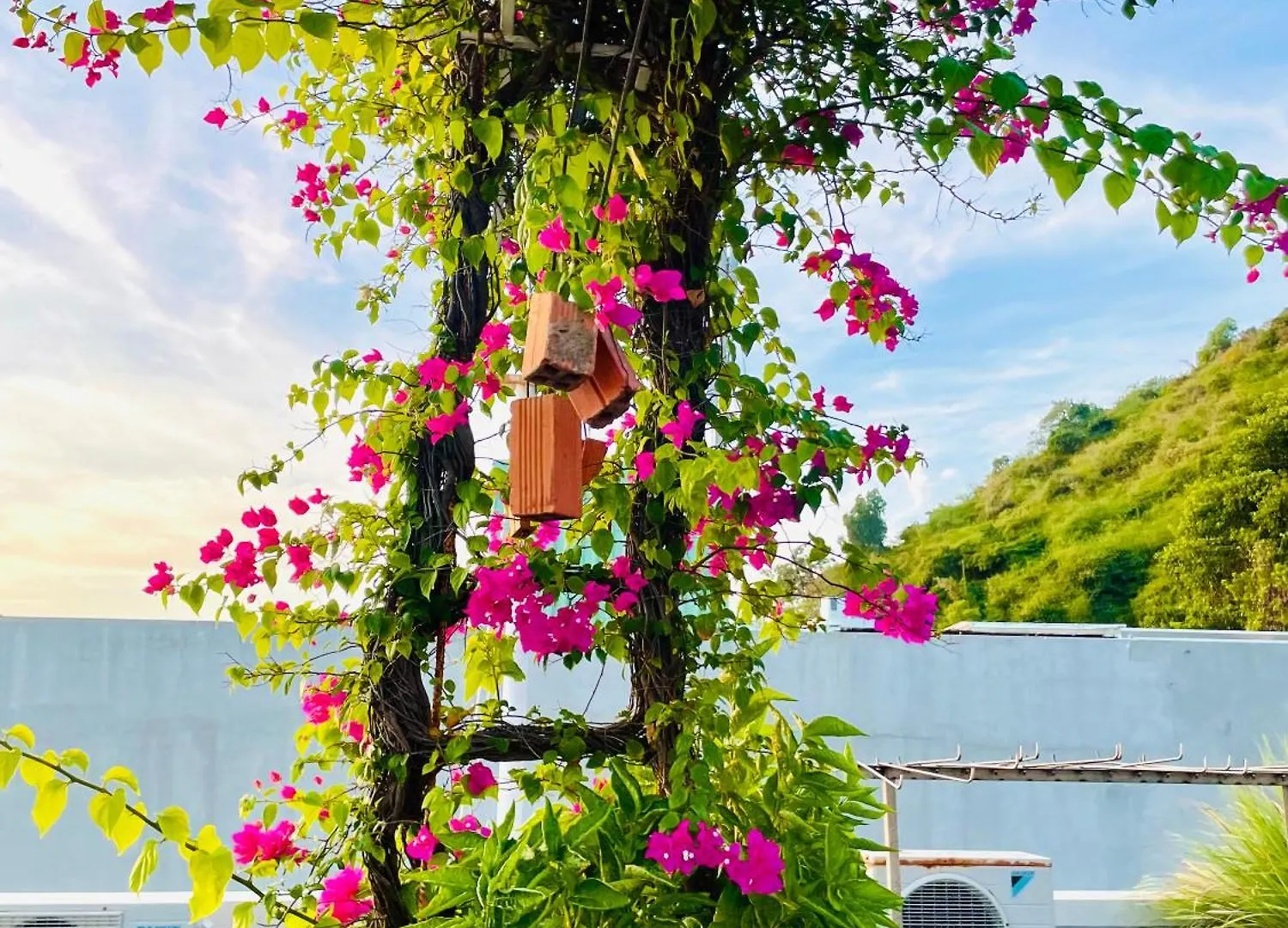 Thien Nguyen Homestay Vung Tau