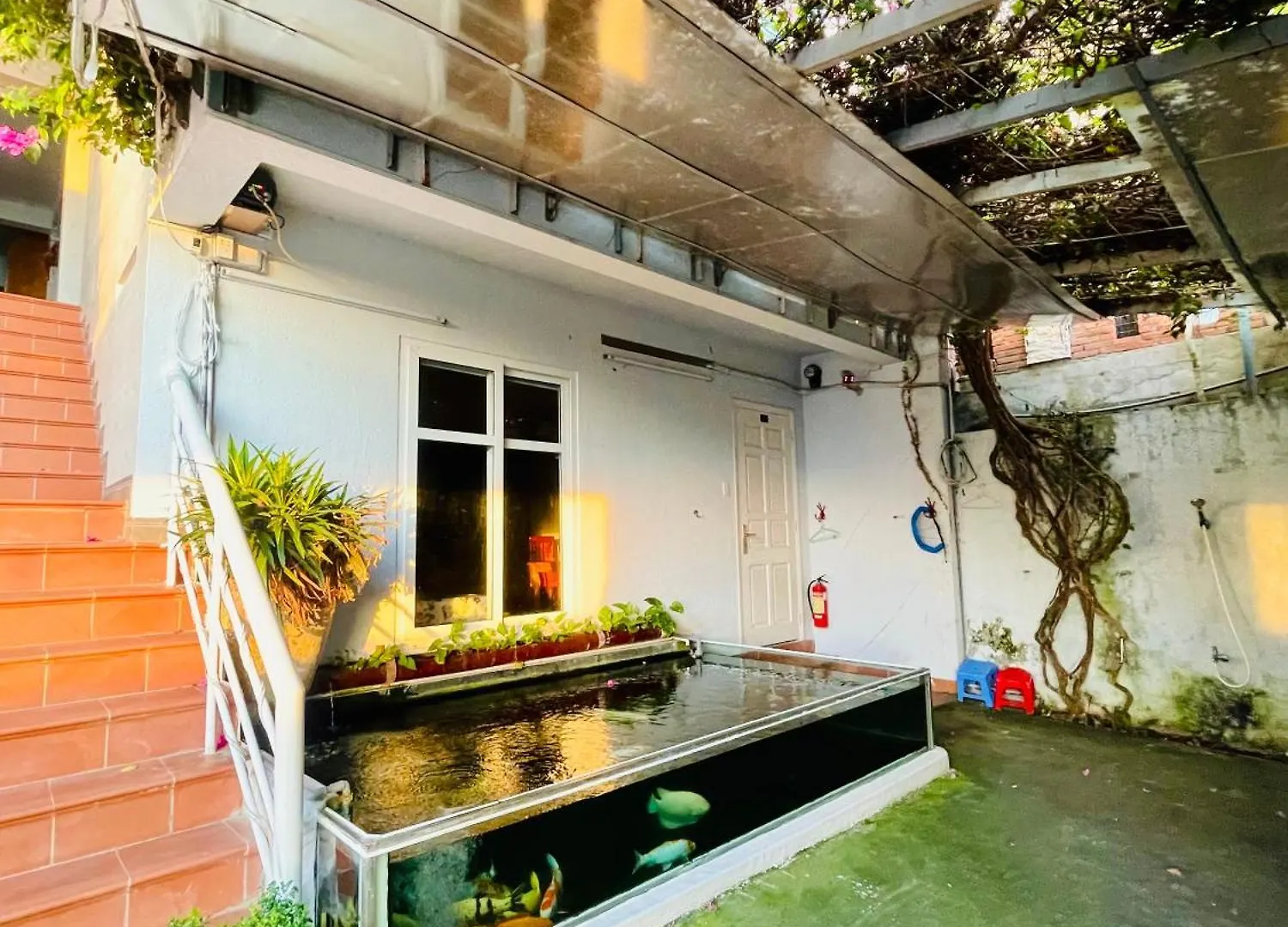 Thien Nguyen Homestay Vung Tau