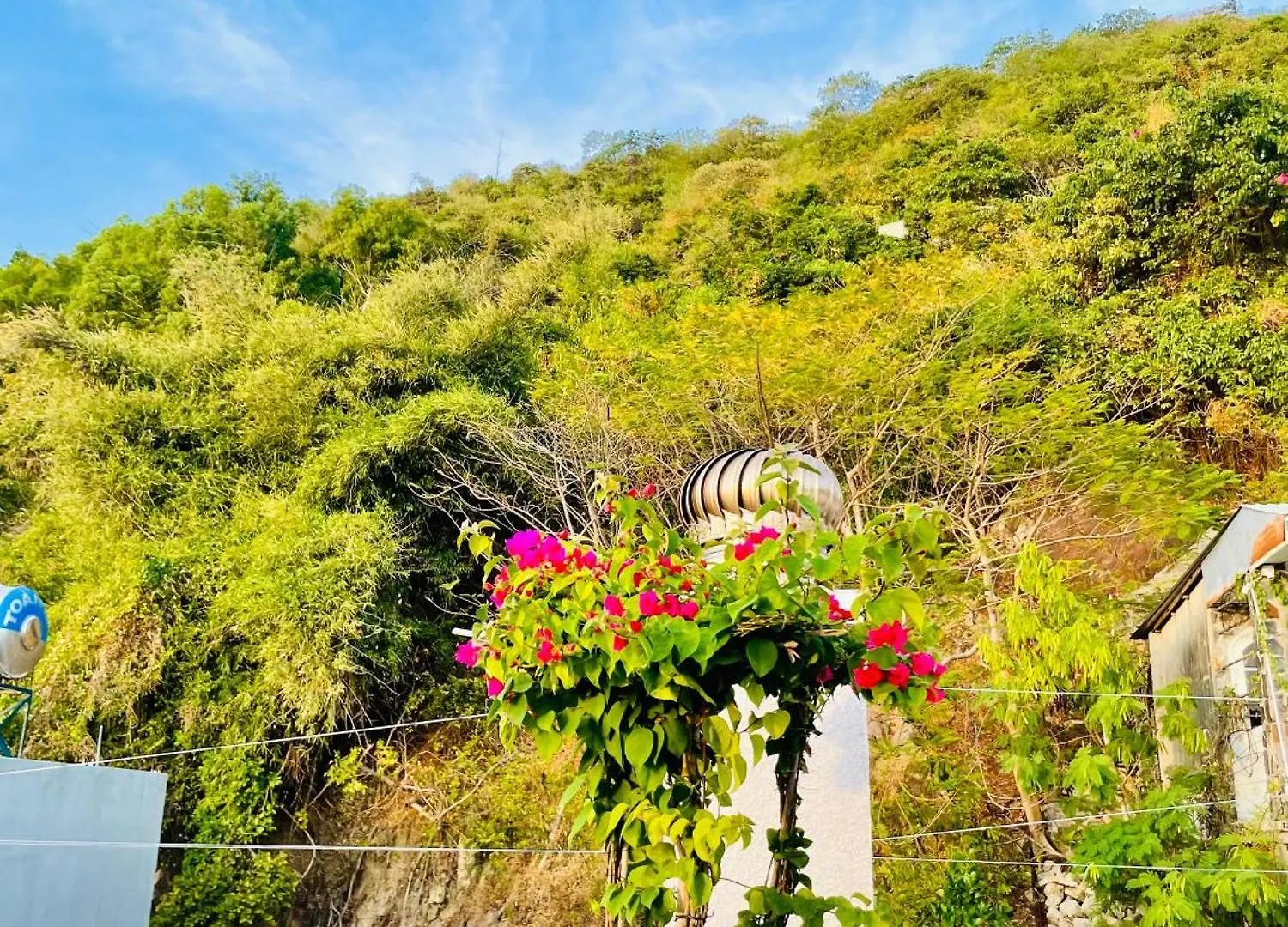 Thien Nguyen Homestay Vung Tau Vietnam