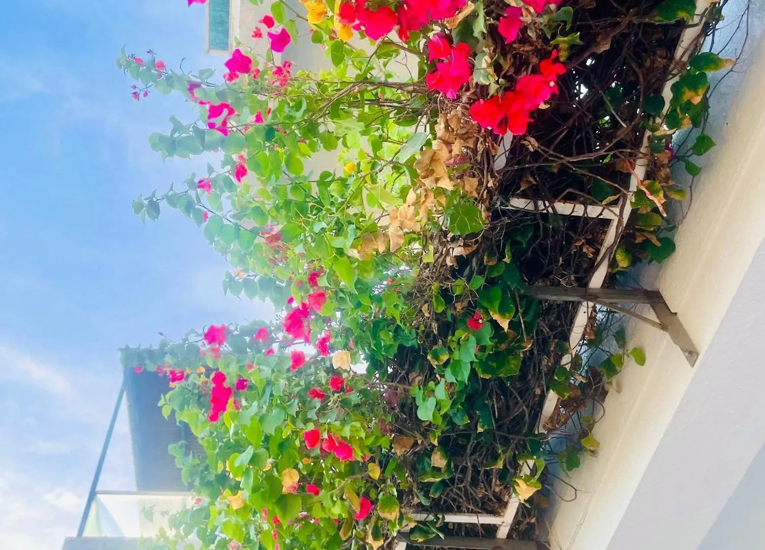 Apartment Thien Nguyen Homestay Vung Tau