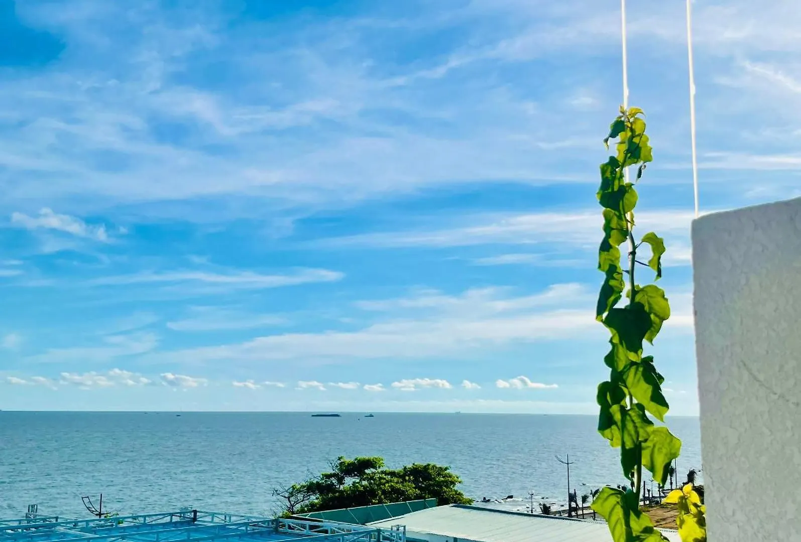 Apartment Thien Nguyen Homestay Vung Tau