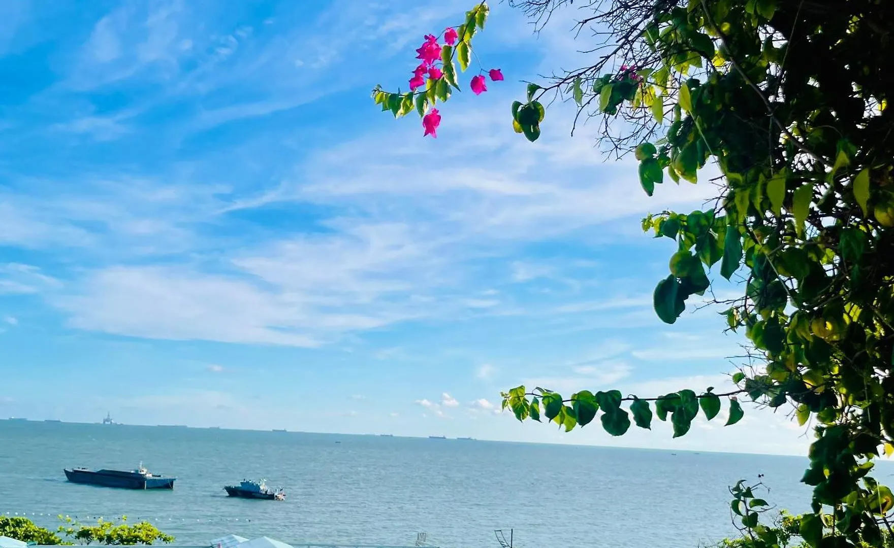 Thien Nguyen Homestay Vung Tau 0*,  Vietnam