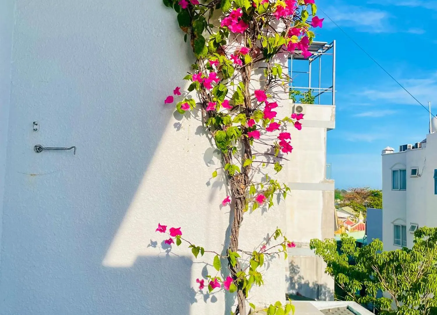 Thien Nguyen Homestay Vung Tau
