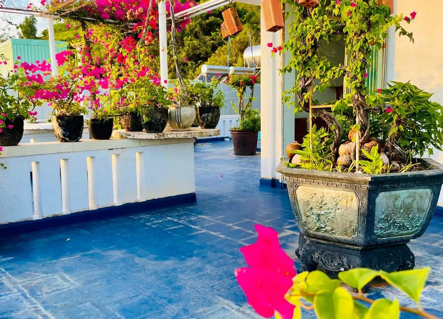 Thien Nguyen Homestay Vung Tau Apartment