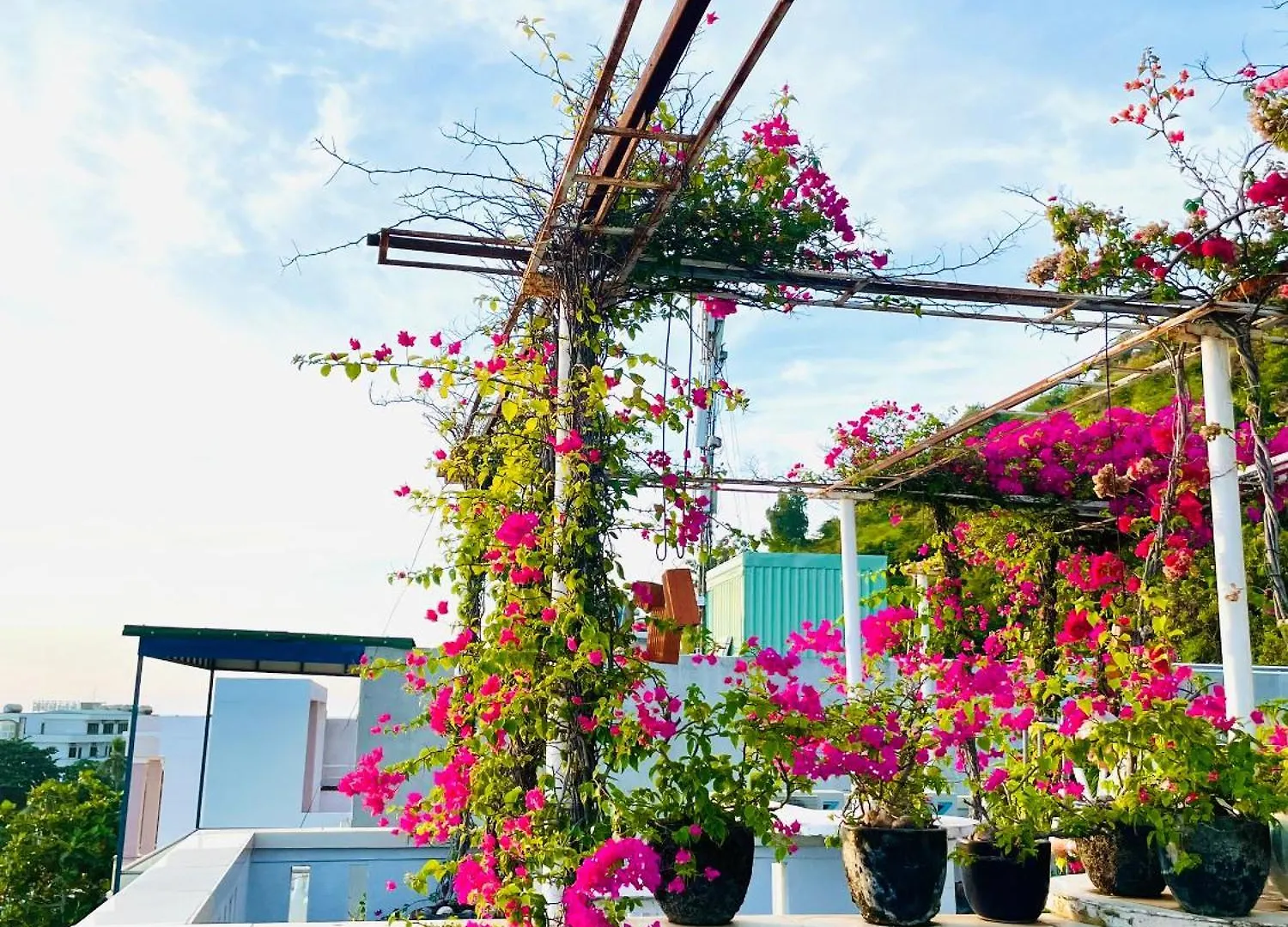 Thien Nguyen Homestay Vung Tau