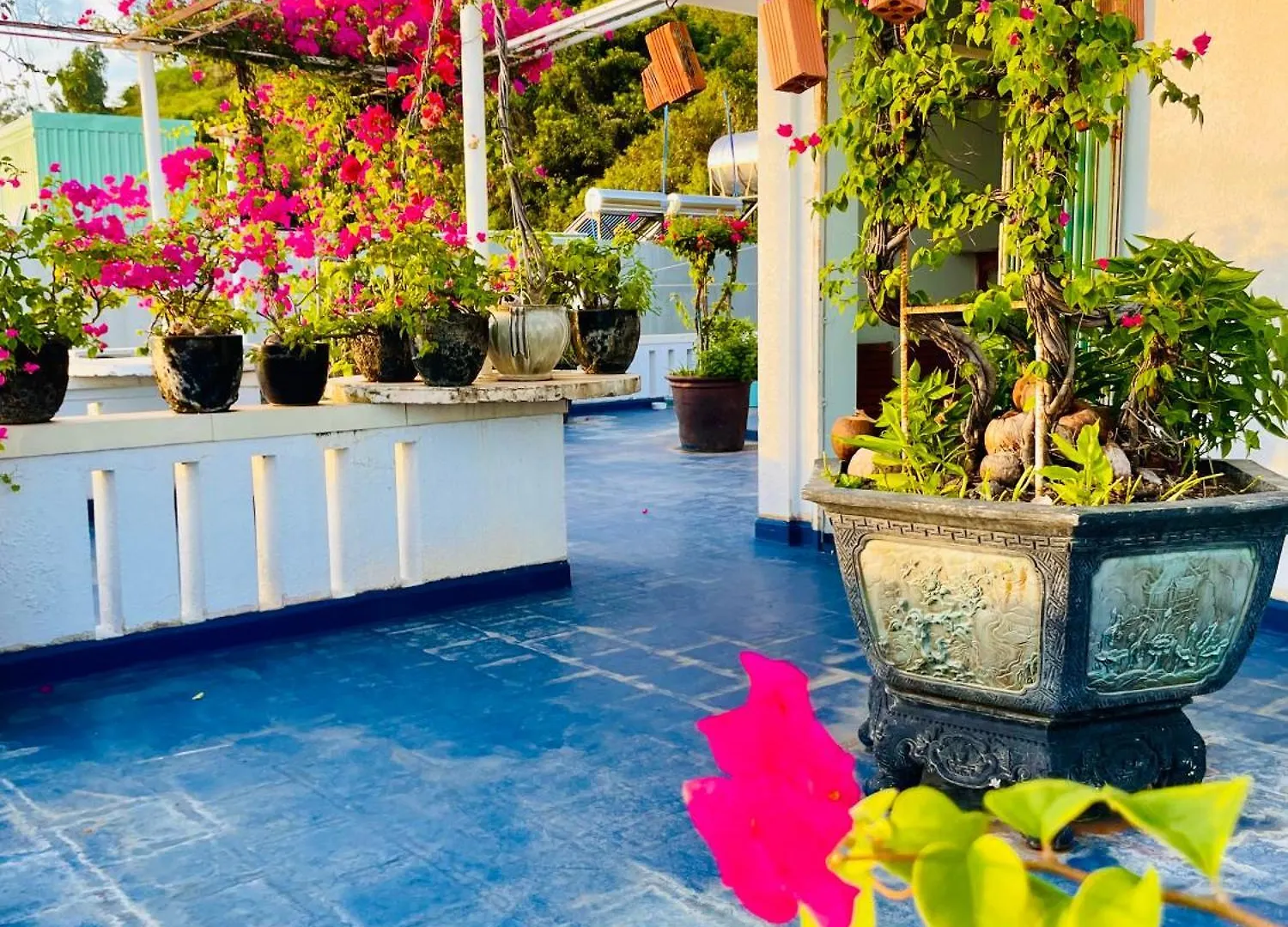 Thien Nguyen Homestay Vung Tau 0*,  Vietnam